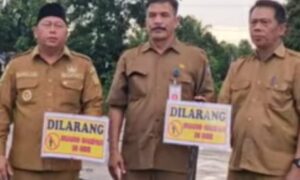 Screenshot_2026-02-17-06-03-27-24_6012fa4d4ddec268fc5c7112cbb265e7~4